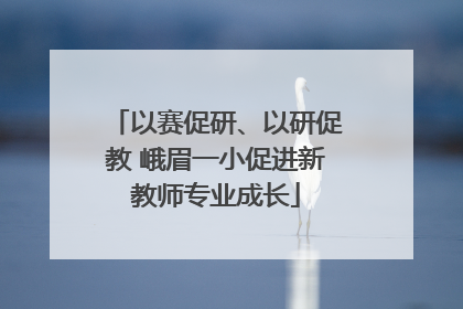 以赛促研、以研促教 峨眉一小促进新教师专业成长